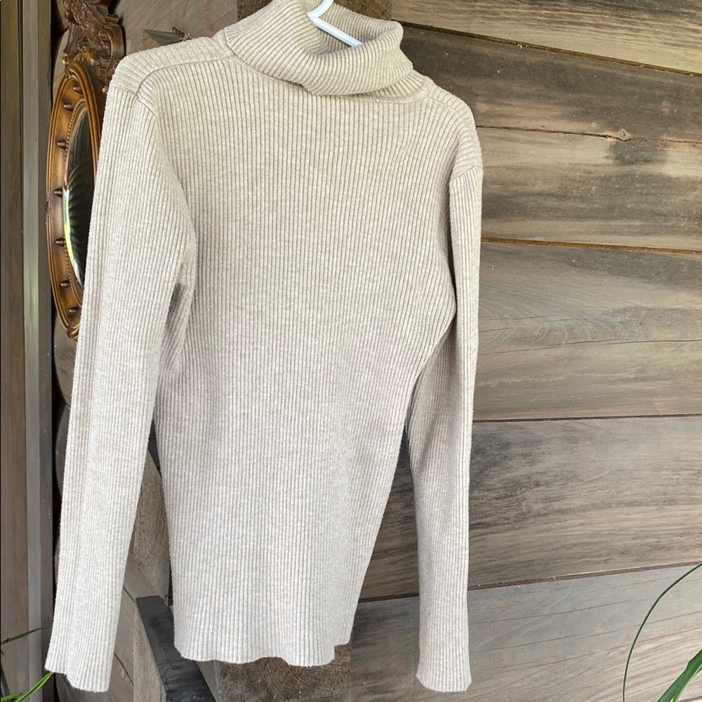 Turtleneck Sweater